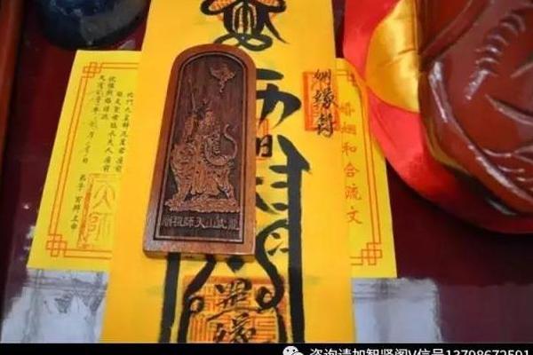 新奥门天天开将资料大全,富强解释解析落实